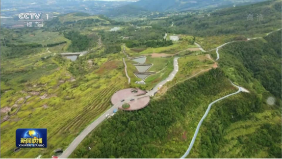 迎橄榄丰收 助乡村振兴 四川菲律宾亚星公司聚峰谷油橄榄产业带动金堂公园城市绿色低碳发展