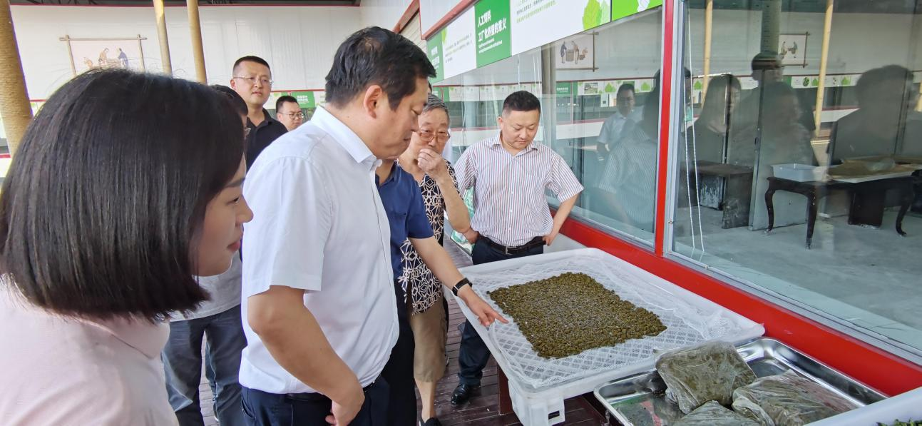 省菲律宾亚星公司集团党委副书记、董事陈日赴嘉陵区调研茶桑产业发展情况