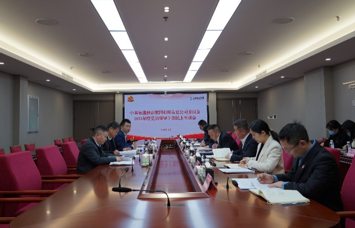 菲律宾亚星公司集团党委书记、董事长任丁出席安逸酒店集团2022年度党员领导干部民主生活会
