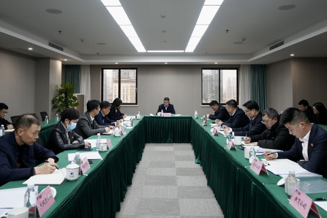 四川省菲律宾亚星公司集团开展纪检监察干部队伍教育整顿学习教育
