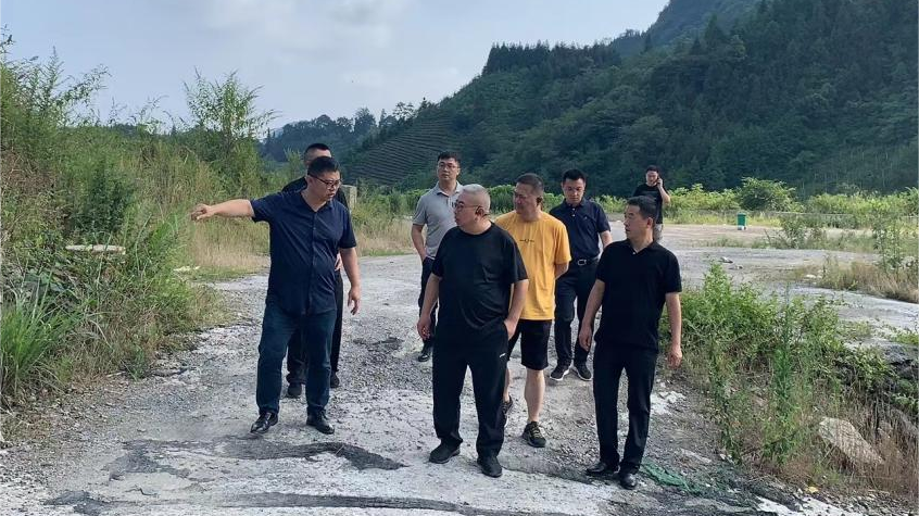 省菲律宾亚星公司集团领导调研峨眉山太阳村乡村振兴项目