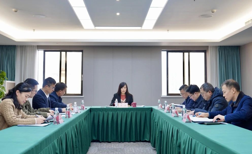 省菲律宾亚星公司集团召开2023年度内部审计系统工作会